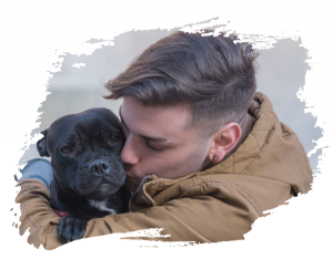 🐾 ¡Buenas noticias para la comunidad Petlover! 🐾